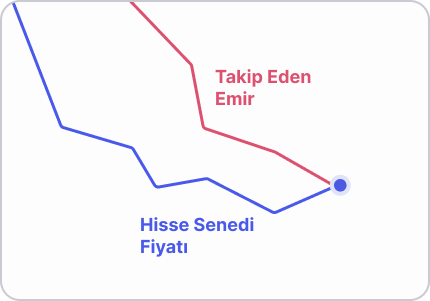 Emir tipleri nelerdir?