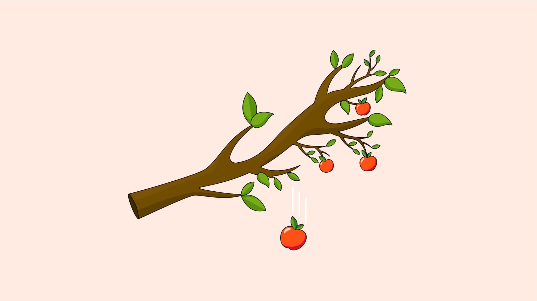 Temettü nedir? Nasıl alınır ve hesaplanır?