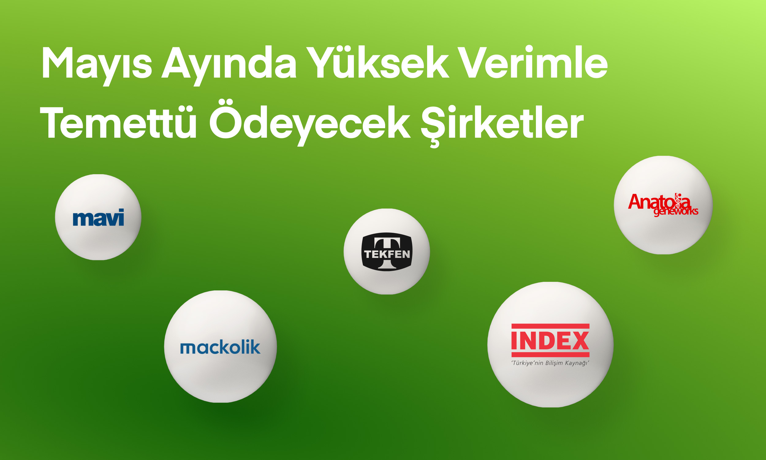 Mayıs Ayında Yüksek Verimle Temettü Ödeyecek Şirketler