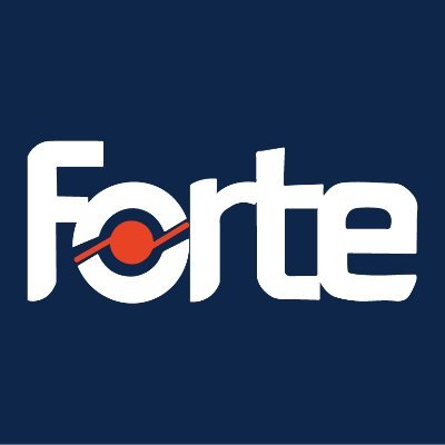 FORTE BILGI ILETISIM TEKNOLOJILERI VE SAVUNMA SANAYI A.S. Logo