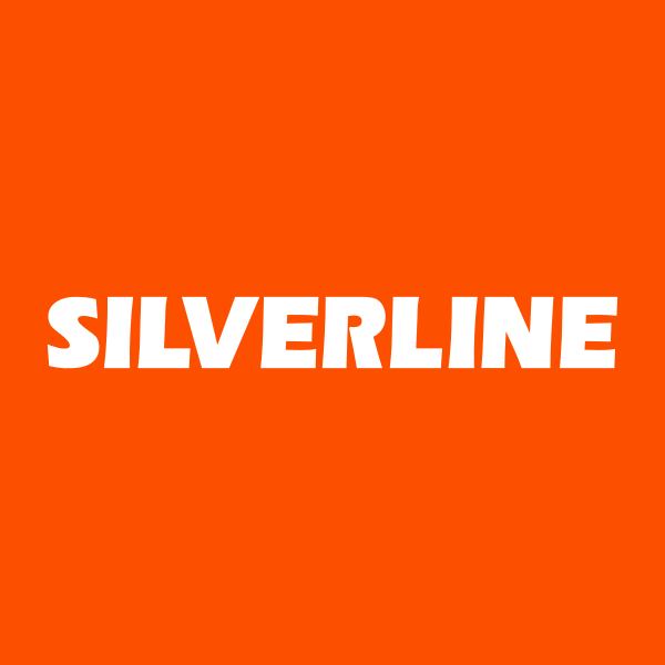 SILVERLINE ENDUSTRI VE TICARET A.S. Logo