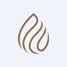 AKDENIZ YATIRIM HOLDING A.S. Logo