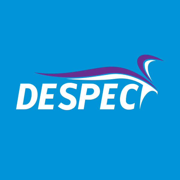 DESPEC BILGISAYAR PAZARLAMA VE TICARET A.S. Logo