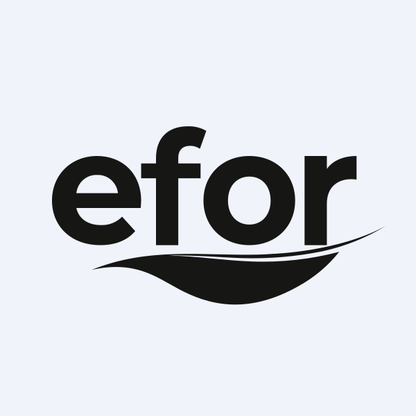 EFOR YATIRIM SANAYI TICARET A.S. Logo